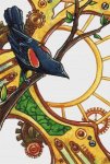 Clockwork Blackbird (image for) Clockwork Blackbird